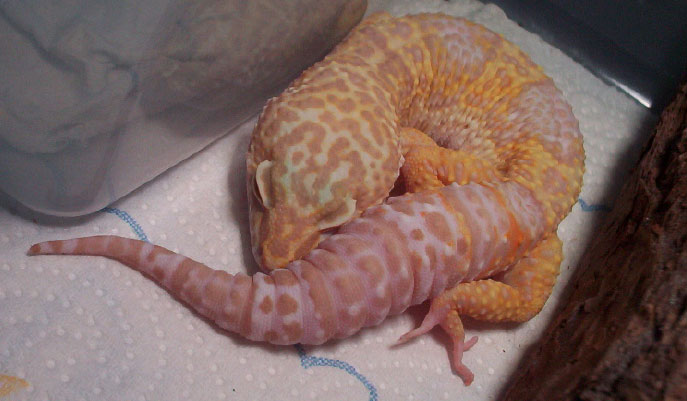 Sleep tight.