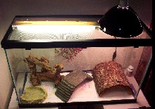 Retake of the Dragon's cage.