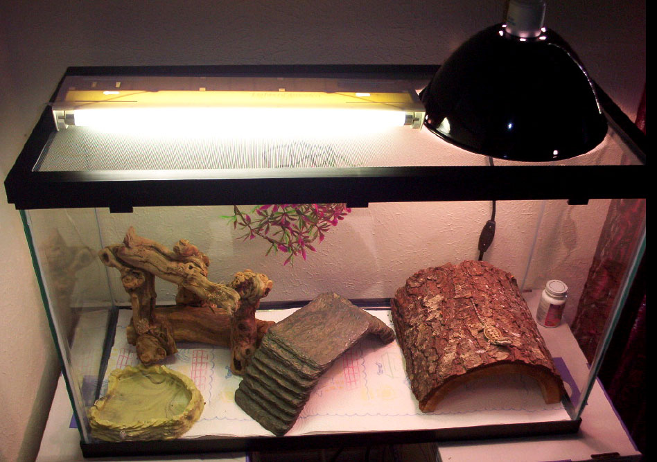 Retake of the Dragon's cage.