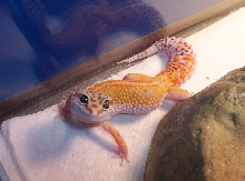 An older pic of Ron staring at me..