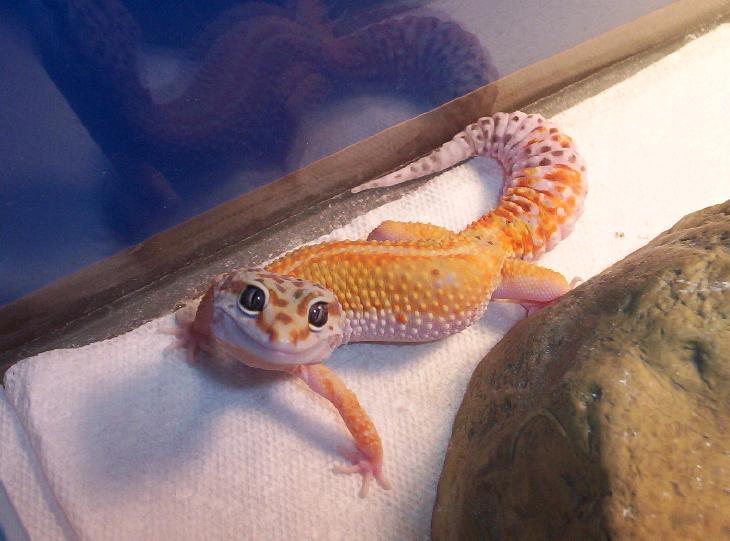 An older pic of Ron staring at me..