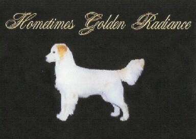 Hometimes Golden Radiance
