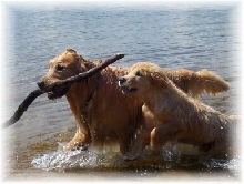 Gallagher & Macintosh on the beach