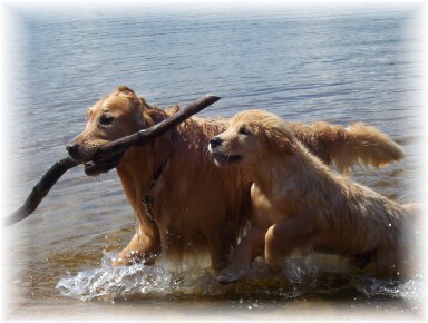 Gallagher & Macintosh on the beach