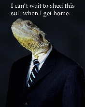I can't wait to shed this suit when I get home.