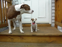Rascal & Lola