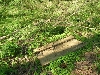Herp Cover