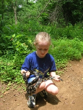 Future Herper