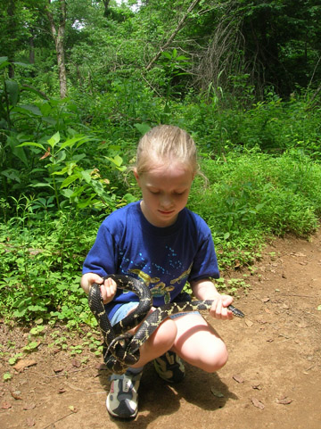 Future Herper