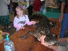 ?Gator? at local Pet Expo