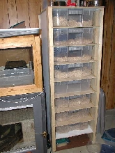 Sub Adult "budget rack"