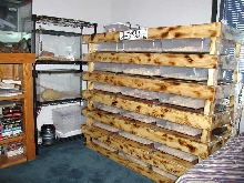 Rosy rack