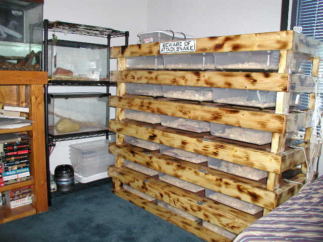 Rosy rack