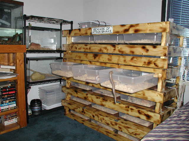 Rosy rack 2