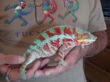 Young Zeus