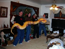Albino Burm - 6 Yrs & 16-Feet