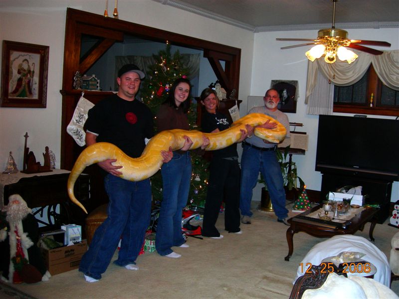Albino Burm - 6 Yrs & 16-Feet