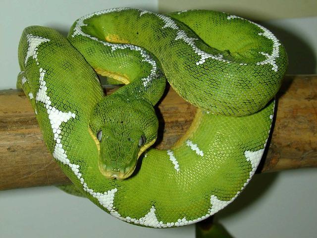ETB 01