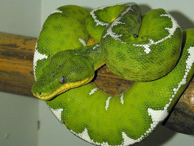 ETB 02
