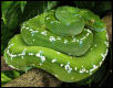 GTP 02