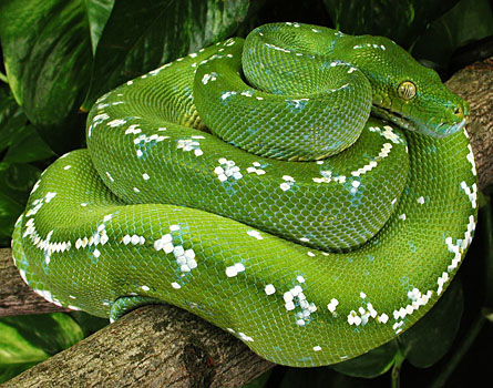 GTP 02