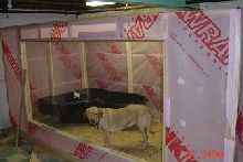 Kasper N Cage