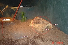 log and size