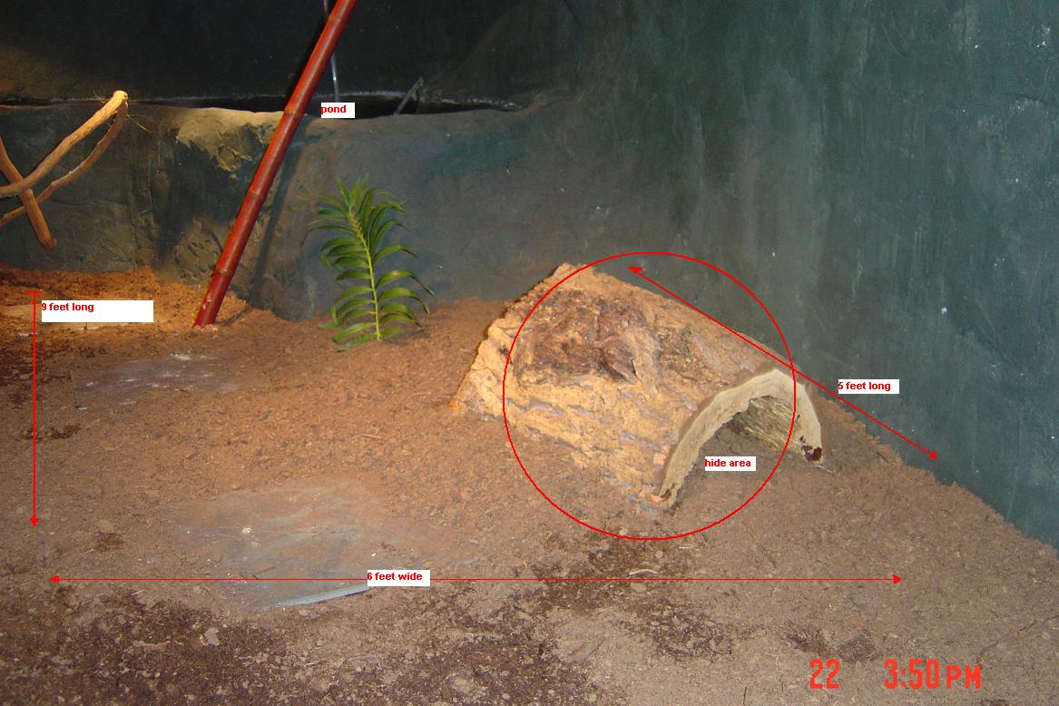 log and size
