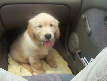 Gallagher on the way home