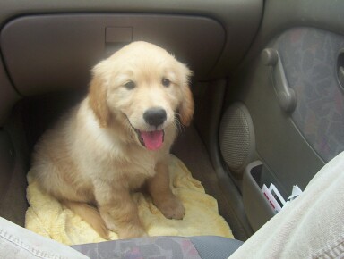 Gallagher on the way home