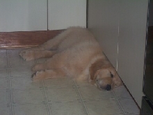 Gallagher sleeping