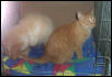 Galley & Casey