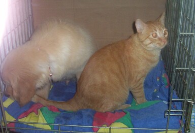 Galley & Casey