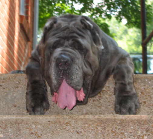 Wild Child Samson