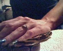my new baby
