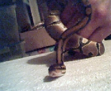 new baby