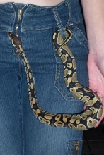 hanging out