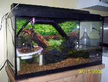 25G Setup for FBT