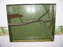 Front View of H2O Cage