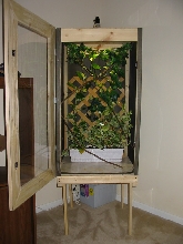 Homemade Cham Cage
