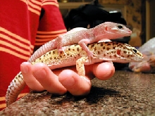 ceasar and nefretiti hanging out