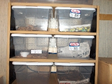 MDF rack