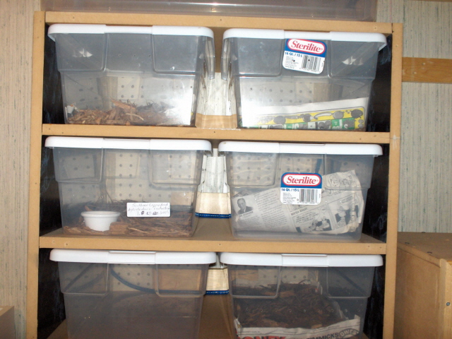 MDF rack