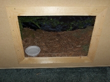 MDF 4' X 2' cage