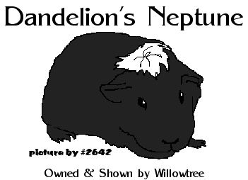 Dandelion's Neptune