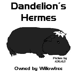 Dandelion's Hermes