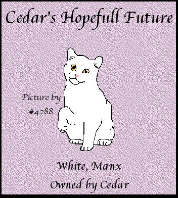 cedars hopefull future