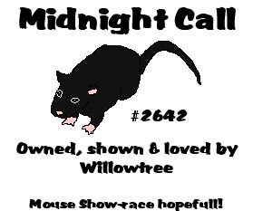 Midnight Call
