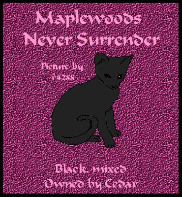 maplewoods never surrender