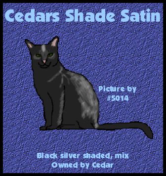 cedars shaded satin